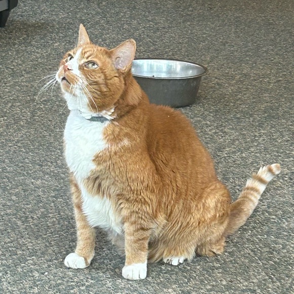 Meet your Posher, Bryn - Picture 16 of 16